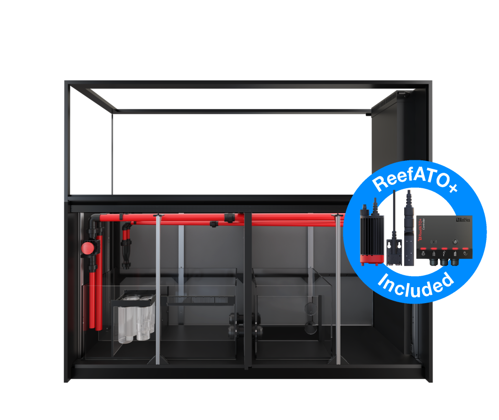 Red Sea Reefer Peninsula S-950 G2+ Meerwasseraquarium Komplettset Red Sea Reefer Peninsula S-950 G2+ Meerwasseraquarium Komplettset